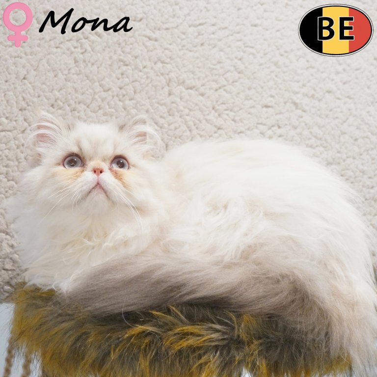Pers Mona 20-04-2026 F(BE5170) 28-08-2026.jpg