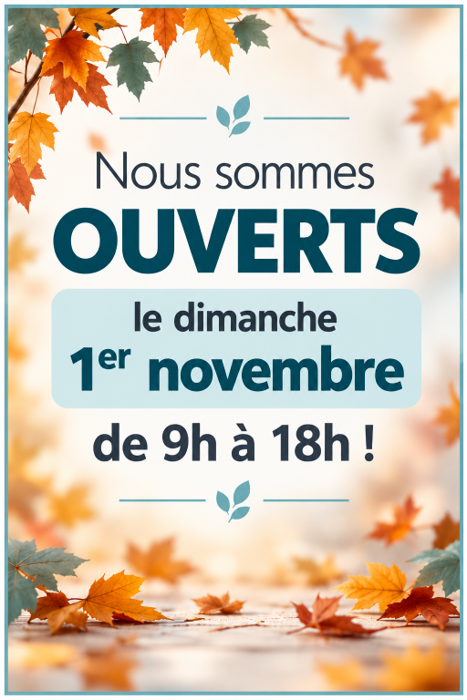 Ouvert 01-11.png